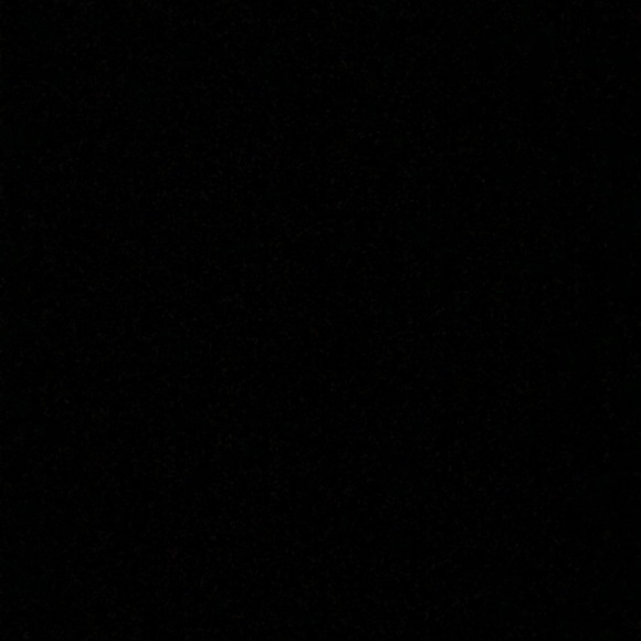 Meet your Posher, Sophia - Picture 1 of 1